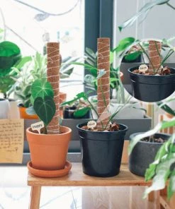 LEMECIMA 2x Bâtons De Plantes En Noix De Coco, Avec 10 étiquettes De Plantes En Bambou (6 X 10 Cm), Aide à L'escalade En Fibre De Noix De Coco Naturelle 9 LEMECIMA 2x Bâtons De Plantes En Noix De Coco, Avec 10 étiquettes De Plantes En Bambou (6 X 10 Cm), Aide à L'escalade En Fibre De Noix De Coco Naturelle -Accessoire de culture Soldes Boutique 40298403 4