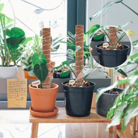 LEMECIMA 2x Bâtons De Plantes En Noix De Coco, Avec 10 étiquettes De Plantes En Bambou (6 X 10 Cm), Aide à L'escalade En Fibre De Noix De Coco Naturelle 6 LEMECIMA 2x Bâtons De Plantes En Noix De Coco, Avec 10 étiquettes De Plantes En Bambou (6 X 10 Cm), Aide à L'escalade En Fibre De Noix De Coco Naturelle – Image 4