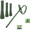 GUAZHUNIFR 220 Pcs Attache Plante En Plastique Réglable Accroche Tuteur Plante Flexible Longueur 13/17/23cm Accroche Tuteur Tomate Réutilisable Portable Pour Plantes Arbustes Jardin Maison Bureau - Vert 1 GUAZHUNIFR 220 Pcs Attache Plante En Plastique Réglable Accroche Tuteur Plante Flexible Longueur 13/17/23cm Accroche Tuteur Tomate Réutilisable Portable Pour Plantes Arbustes Jardin Maison Bureau - Vert -Accessoire de culture Soldes Boutique 41019641 1