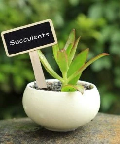 TANABATA 40pcs Étiquettes De Plantes En Ardoise Mini Tableau Noir Marqueur De Jardin Plante Signe Tags En Bois Étiquettes Potager Pour Fleur Légumes Graine Jardin Pépinière -Accessoire de culture Soldes Boutique 41474962 5