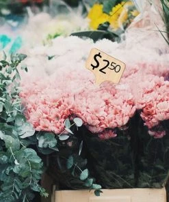 TANABATA 30 Pcs Bambou Plante Étiquettes De Plantes En Bambou D'étiquette En Bois Marqueurs De Type T Pour Jardin Plantes En Pot Accessoires À Effet De Serre - 10 X 6 Cm -Accessoire de culture Soldes Boutique 41475041 4