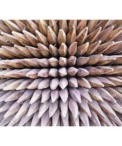 SUINGA Poteau Tuteur En Bois 150 Cm, Diamètre 3 Cm. 20 Unités 8 SUINGA Poteau Tuteur En Bois 150 Cm, Diamètre 3 Cm. 20 Unités -Accessoire de culture Soldes Boutique 41903354 3