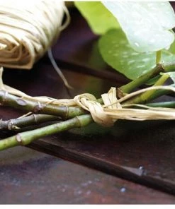 INTERMAS GARDENING - Raphia Naturel - 50 G -Accessoire de culture Soldes Boutique 42043859 2