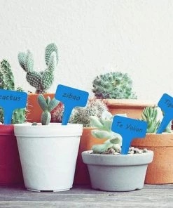 VERSAILLESFR Étiquette De Jardin, 100 Pieces Marqueurs En Plastique De Plantes Type T Signes Plante Label Plantes Graines étiquettes, Pour Graines Pot Herbes Fleurs Légumes Pépinière (bleu) -Accessoire de culture Soldes Boutique 42053313 5