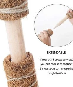 VERSAILLESFR Support Tuteurs Pour Plantes Grimpantes 30cm, 2pcs Versailles Tuteur En Fibres De Coco, Bâton De Mousse De Coco Pour Plantes Grimpantes, Poteau De Coco Pour Monstera Jardin Plante -Accessoire de culture Soldes Boutique 42533105 4
