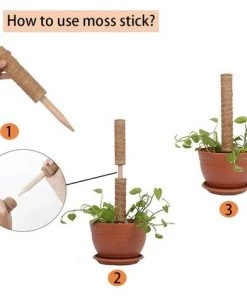 VERSAILLESFR Support Tuteurs Pour Plantes Grimpantes 30cm, 2pcs Versailles Tuteur En Fibres De Coco, Bâton De Mousse De Coco Pour Plantes Grimpantes, Poteau De Coco Pour Monstera Jardin Plante -Accessoire de culture Soldes Boutique 42533105 5