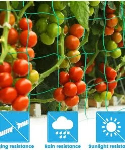 VERSAILLESFR Filet De Jardin, 1.8 X 2.7m Versailles Filet à Plantes Grimpantes, Filet à Ramer Pour Récolte De Concombres, Légume, Tomates Et Autres Légumes, Filet De Fixation Pour Plantes Grimpantes -Accessoire de culture Soldes Boutique 42533107 3