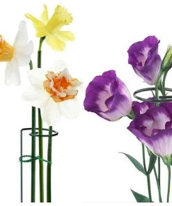 VERSAILLESFR 6 PCS Végétaux Piquets De Support De Plante Piquets De Support De Plante à Tige Unique Piquets De Plante De Jardin Tuteur Plante Tuteurs Pour Plantes Fleur Rose Tomate Lys Pivoine-Versailles (40cm) -Accessoire de culture Soldes Boutique 42534321 4