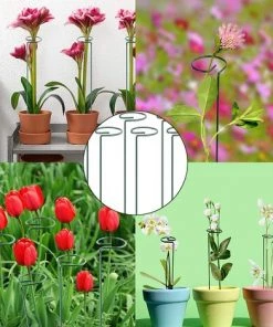 VERSAILLESFR 6 PCS Végétaux Piquets De Support De Plante Piquets De Support De Plante à Tige Unique Piquets De Plante De Jardin Tuteur Plante Tuteurs Pour Plantes Fleur Rose Tomate Lys Pivoine-Versailles (40cm) -Accessoire de culture Soldes Boutique 42534321 5