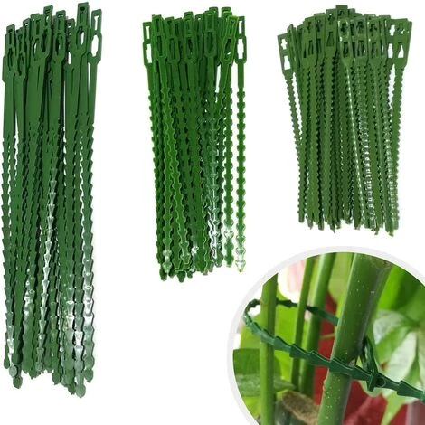 VERSAILLESFR Attache De Plante Liens Réglables De Jardinage,150 Pcs Versailles Attache Et Soutien Pour Plantes, Aider à Soutenir Les Plantes Et Arbuste, Attaches De Torsion En Plastique Flexible (3 Tailles) 3 VERSAILLESFR Attache De Plante Liens Réglables De Jardinage,150 Pcs Versailles Attache Et Soutien Pour Plantes, Aider à Soutenir Les Plantes Et Arbuste, Attaches De Torsion En Plastique Flexible (3 Tailles)