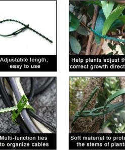 VERSAILLESFR Attache De Plante Liens Réglables De Jardinage,150 Pcs Versailles Attache Et Soutien Pour Plantes, Aider à Soutenir Les Plantes Et Arbuste, Attaches De Torsion En Plastique Flexible (3 Tailles) 11 VERSAILLESFR Attache De Plante Liens Réglables De Jardinage,150 Pcs Versailles Attache Et Soutien Pour Plantes, Aider à Soutenir Les Plantes Et Arbuste, Attaches De Torsion En Plastique Flexible (3 Tailles) -Accessoire de culture Soldes Boutique 42534341 5