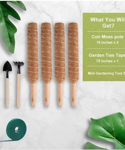 VERSAILLESFR 4 Pièces 40cm Tuteur Coco Pour Plante,Versailles Plante Poteau Bâton De Coco, Pour La Maison Jardin Plante Grimpantes Extensible Plantation Support -Accessoire de culture Soldes Boutique 42534387 3