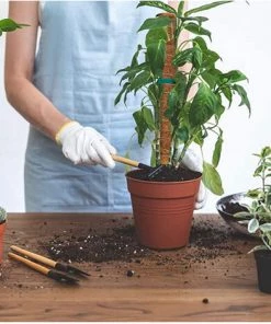 VERSAILLESFR 4 Pièces 40cm Tuteur Coco Pour Plante,Versailles Plante Poteau Bâton De Coco, Pour La Maison Jardin Plante Grimpantes Extensible Plantation Support -Accessoire de culture Soldes Boutique 42534387 4