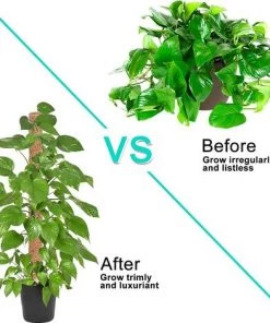 VERSAILLESFR 4 Pièces 40cm Tuteur Coco Pour Plante,Versailles Plante Poteau Bâton De Coco, Pour La Maison Jardin Plante Grimpantes Extensible Plantation Support -Accessoire de culture Soldes Boutique 42534387 5