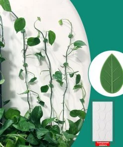 DKSFJKL Outil De Plantation Et Culture 30 Pièces Clips De Fixation Murale D'escalade Avec 36 Pièces Autocollant Adhésif Acrylique Fixateur De Plantes Clips De Fixation De Vignes Murales Invisibles Crochet Auto-adhésif Traction De Vigne De Plante Pour La Décoratio -Accessoire de culture Soldes Boutique 42740386 3