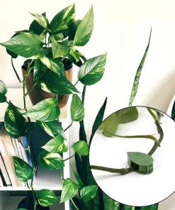 DKSFJKL Outil De Plantation Et Culture 30 Pièces Clips De Fixation Murale D'escalade Avec 36 Pièces Autocollant Adhésif Acrylique Fixateur De Plantes Clips De Fixation De Vignes Murales Invisibles Crochet Auto-adhésif Traction De Vigne De Plante Pour La Décoratio -Accessoire de culture Soldes Boutique 42740386 4