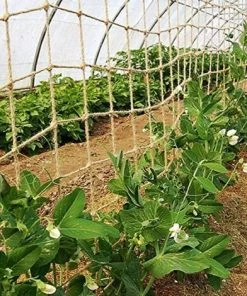 BARES Filet De Soutien En Jute Naturelle Pour Plantes Grimpantes -Accessoire de culture Soldes Boutique 43349056 3