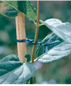 NORTENE - Lien Plastique Armé Nort Apfix Bobine 100m Vert