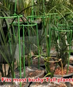 HAPPYSHOPPING Support De Plante Grimpante Stakes Cage A Anneau-g De Support De Plante Haute Pour Legume-fleur De Plante De Jardin, Modele: S & 1PC - Modele: S & 1PC -Accessoire de culture Soldes Boutique 43998331 5