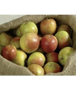 Meister Werkzeuge 9960920 Sac De Jute 300 L Marron - Marron 6 Meister Werkzeuge 9960920 Sac De Jute 300 L Marron - Marron -Accessoire de culture Soldes Boutique 4431285 2