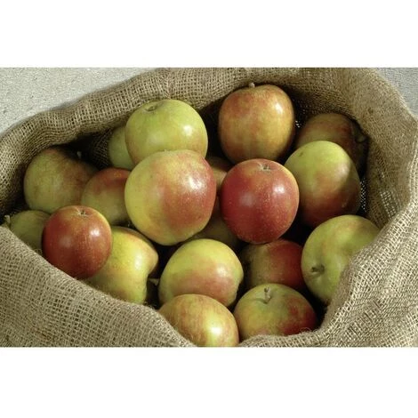 Meister Werkzeuge 9960920 Sac De Jute 300 L Marron - Marron 4 Meister Werkzeuge 9960920 Sac De Jute 300 L Marron - Marron – Image 2