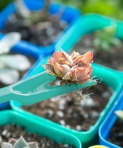 TANABATA Pots BiodéGradables,10PCS 16 * 8.5 * 5CM 8-Grid Pots En Tourbe Pour Semis BiodéGradable +Pots De Tourbe 2PCS Semis Dibbers + 6 PCS T-Forme ÉTiquettes De Plantes -Accessoire de culture Soldes Boutique 44322918 5