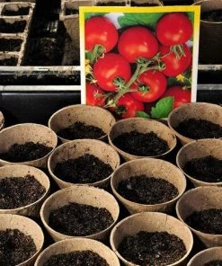 TANABATA Pots Biodégradables,50pcs Pot De Semis Biodegradable, Pots En Fibre Sans Tourbe, Godet Semis Biodegradable, Pot De Tourbe -Accessoire de culture Soldes Boutique 44322920 3