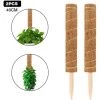 ALMI Tuteur Pour Végétaux 1pcs Bâton De Mousse De Coco, Extension Mât Totémique En Fibre De Coco, Support Tuteurs Pour Plantes Grimpantes, Bâton De Mousse De Coco Pour Plantes Grimpantes -Accessoire de culture Soldes Boutique 44466912 1