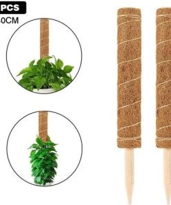 ALMI Tuteur Pour Végétaux 1pcs Bâton De Mousse De Coco, Extension Mât Totémique En Fibre De Coco, Support Tuteurs Pour Plantes Grimpantes, Bâton De Mousse De Coco Pour Plantes Grimpantes