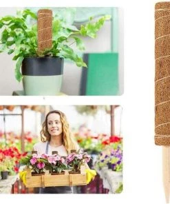 ALMI Tuteur Pour Végétaux 1pcs Bâton De Mousse De Coco, Extension Mât Totémique En Fibre De Coco, Support Tuteurs Pour Plantes Grimpantes, Bâton De Mousse De Coco Pour Plantes Grimpantes 9 ALMI Tuteur Pour Végétaux 1pcs Bâton De Mousse De Coco, Extension Mât Totémique En Fibre De Coco, Support Tuteurs Pour Plantes Grimpantes, Bâton De Mousse De Coco Pour Plantes Grimpantes -Accessoire de culture Soldes Boutique 44466912 3