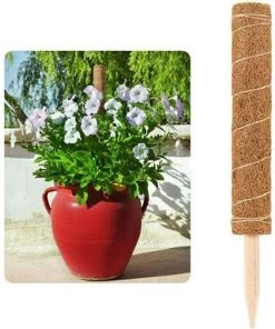 ALMI Tuteur Pour Végétaux 1pcs Bâton De Mousse De Coco, Extension Mât Totémique En Fibre De Coco, Support Tuteurs Pour Plantes Grimpantes, Bâton De Mousse De Coco Pour Plantes Grimpantes 10 ALMI Tuteur Pour Végétaux 1pcs Bâton De Mousse De Coco, Extension Mât Totémique En Fibre De Coco, Support Tuteurs Pour Plantes Grimpantes, Bâton De Mousse De Coco Pour Plantes Grimpantes -Accessoire de culture Soldes Boutique 44466912 4