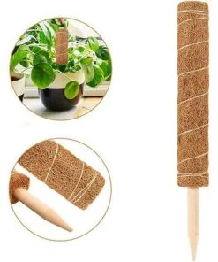 ALMI Tuteur Pour Végétaux 1pcs Bâton De Mousse De Coco, Extension Mât Totémique En Fibre De Coco, Support Tuteurs Pour Plantes Grimpantes, Bâton De Mousse De Coco Pour Plantes Grimpantes 11 ALMI Tuteur Pour Végétaux 1pcs Bâton De Mousse De Coco, Extension Mât Totémique En Fibre De Coco, Support Tuteurs Pour Plantes Grimpantes, Bâton De Mousse De Coco Pour Plantes Grimpantes -Accessoire de culture Soldes Boutique 44466912 5
