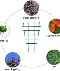 ALMI Tuteur Pour Végétaux Support De Plantes En Plastique Treillis De Jardin Pour Plantes Grimpantes Cadre D'escalade Pour Plantes Pot De Fleur Treillis Plante Pour Extérieur Intérieur 6 Pcs -Accessoire de culture Soldes Boutique 44477522 4