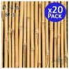SUINGA Tuteur En Bambou 60 Cm, 5-8 Mm. Poteaux écologiques En Bambou Pour Tenir Les Arbres, Les Plantes Et Les Légumes. 20 Unités -Accessoire de culture Soldes Boutique 44512126 1