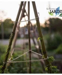 SUINGA Tuteur En Bambou 60 Cm, 5-8 Mm. Poteaux écologiques En Bambou Pour Tenir Les Arbres, Les Plantes Et Les Légumes. 20 Unités -Accessoire de culture Soldes Boutique 44512126 4