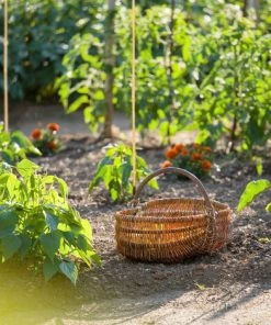 RELAXDAYS 25x Tiges En Bambou 150 Cm, En Bambou Naturel, Bâtons En Bambou Comme Tuteur Ou Décoration, Pour Bricoler, Nature -Accessoire de culture Soldes Boutique 45572989 3