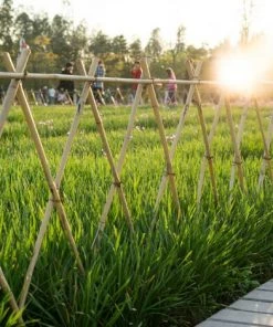 RELAXDAYS 25x Tiges En Bambou 150 Cm, En Bambou Naturel, Bâtons En Bambou Comme Tuteur Ou Décoration, Pour Bricoler, Nature -Accessoire de culture Soldes Boutique 45572989 4