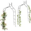 RELAXDAYS Set De 2 Arches à Rosiers Courbée Avec Pointe, Métal 2,4 M, Arceau De Jardin, Obélisque, Tuteur Plantes Grimpantes, Vert 1 RELAXDAYS Set De 2 Arches à Rosiers Courbée Avec Pointe, Métal 2,4 M, Arceau De Jardin, Obélisque, Tuteur Plantes Grimpantes, Vert -Accessoire de culture Soldes Boutique 45919296 1