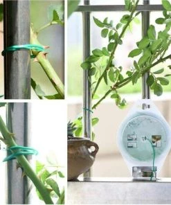 Liens Avec Cutte, Ligatures Pour Plantes De Jardin Fil Vert Twist Coated Plastique Souple Accessoires De Jardin Tie Fil Pour Le Jardinage, Maison, Bureau 100M Fontainebleau Vert 10 Liens Avec Cutte, Ligatures Pour Plantes De Jardin Fil Vert Twist Coated Plastique Souple Accessoires De Jardin Tie Fil Pour Le Jardinage, Maison, Bureau 100M Fontainebleau Vert -Accessoire de culture Soldes Boutique 45962603 4