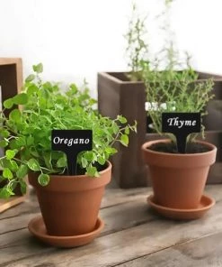 SUPERMARKET 100 Pcs Étiquettes De Plantes Étiquettes Jardin Imperméable T-Type Étiquettes Plantes En Plastique Noir Marqueurs Semis，Superma -Accessoire de culture Soldes Boutique 46537099 4