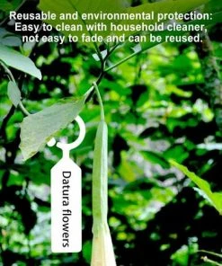 SUPERMARKET Lot De 100 étiquettes à Suspendre En Plastique Pour Plantes - Réutilisables Et Imperméables - 11 X 2,4 Cm - Blanc，Superma -Accessoire de culture Soldes Boutique 46537138 3