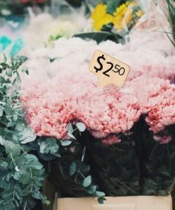 TINOR 30 Pcs Bambou Plante Étiquettes De Plantes En Bambou D'étiquette En Bois Marqueurs De Type T Pour Jardin Plantes En Pot Accessoires À Effet De Serre - 10 X 6 Cm -Accessoire de culture Soldes Boutique 48731976 3