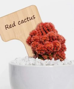 TINOR 30 Pcs Bambou Plante Étiquettes De Plantes En Bambou D'étiquette En Bois Marqueurs De Type T Pour Jardin Plantes En Pot Accessoires À Effet De Serre - 10 X 6 Cm -Accessoire de culture Soldes Boutique 48731976 4