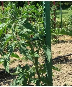 MIKADO Tuteur - Tomate - PACK 180 VERT JARDIN : 6 Tuteurs 180 Cm Et 24 Attaches -Accessoire de culture Soldes Boutique 48888407 3