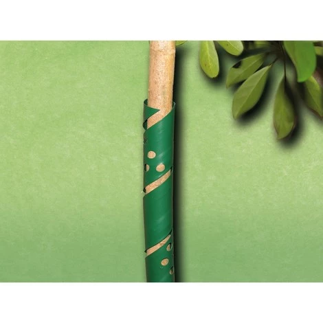 BAUHERR Tuteur 3 BAUHERR Tuteur