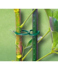 BAUHERR Anneaux De Fixation