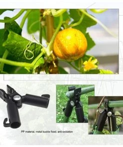 Connecteur De Support De Canne En Treillis Végétal, Clip De Pillier En Rotin Grimpant Pour Jardin Verger Tomate Cage (16mm),Starlight,10Pcs -Accessoire de culture Soldes Boutique 50941787 3