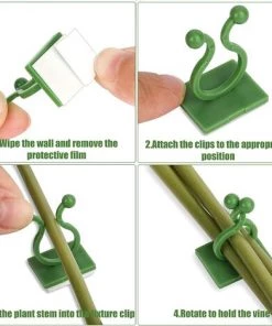 Clips D'escalade Pour Plantes, Crochets Muraux Auto-Adhésifs Pour Vignes Clips De Fixation Pour Vignes Murales Support De Légumes De Jardin Invisible (Vert, Taille S/M),Starlight,100 Pièces -Accessoire de culture Soldes Boutique 50941865 3