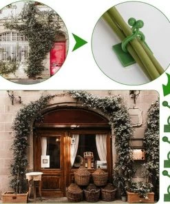 Clips D'escalade Pour Plantes, Crochets Muraux Auto-Adhésifs Pour Vignes Clips De Fixation Pour Vignes Murales Support De Légumes De Jardin Invisible (Vert, Taille S/M),Starlight,100 Pièces -Accessoire de culture Soldes Boutique 50941865 4