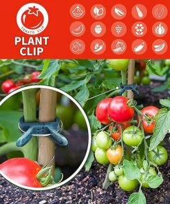 Plant Clips,Plant Clips Set, Clips De Support Réglable Pour Plantes,Pinces à Ressort Support De Plante,pour Jardin, Vigne, Légumes, Tomates(40 Grands Clips Et 40 Petits Clips),Starlight -Accessoire de culture Soldes Boutique 50941867 3